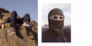 A description of the image