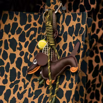 A description of the image