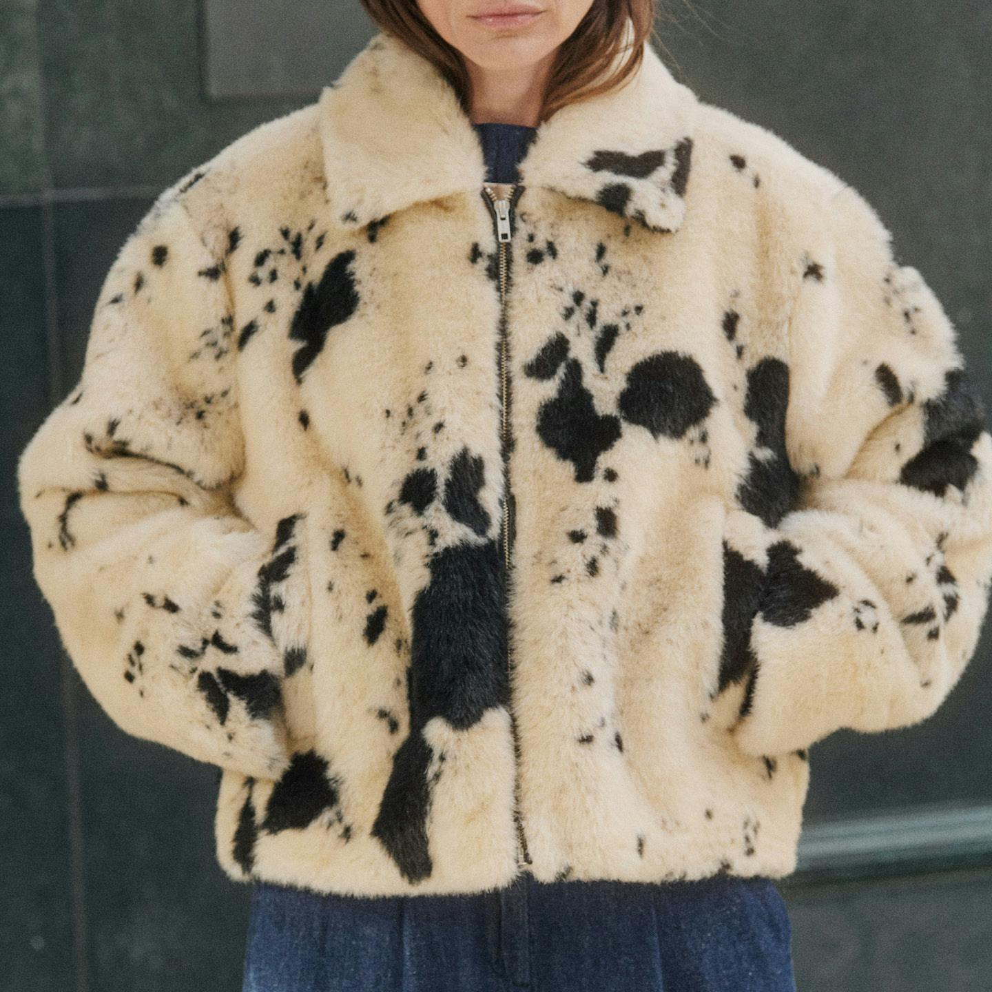 A description of the image