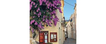 A description of the image