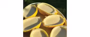 A description of the image