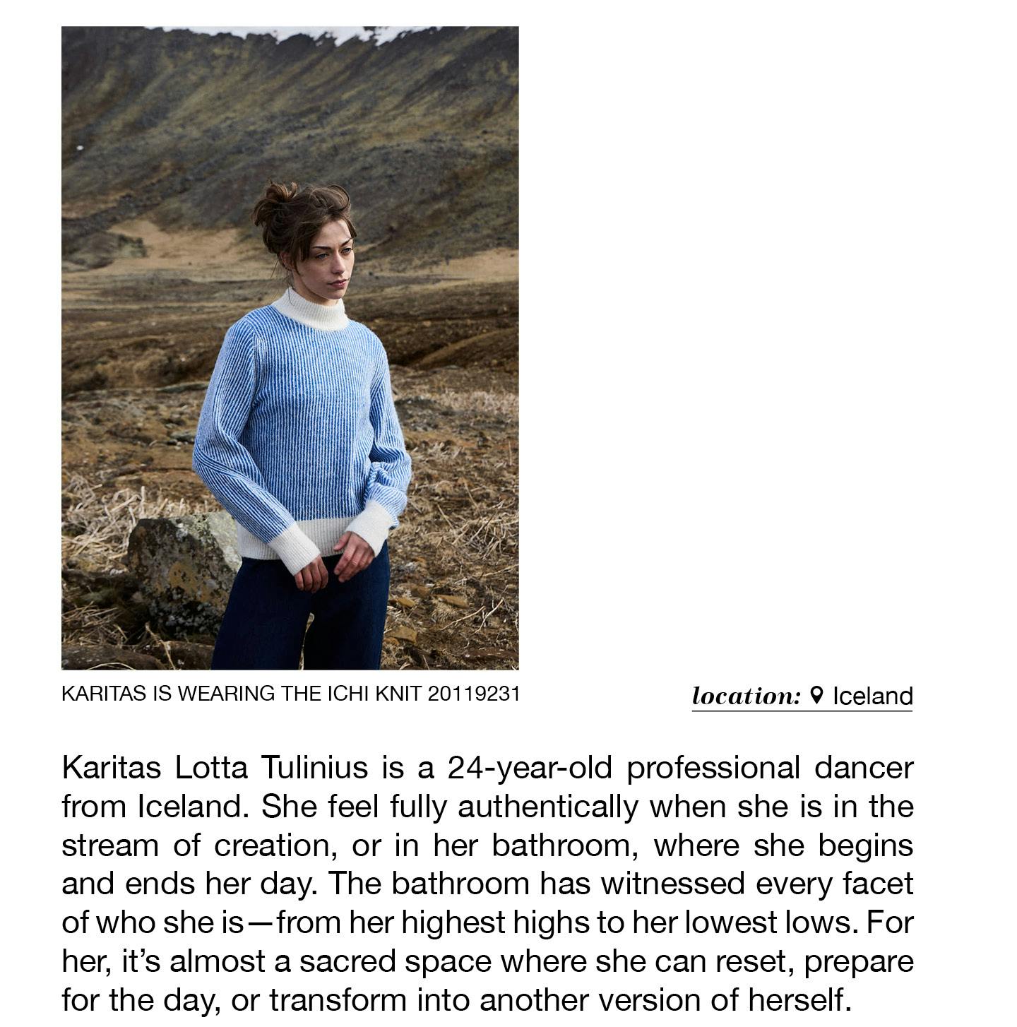 A description of the image