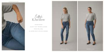 A description of the image