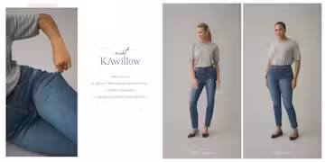 A description of the image