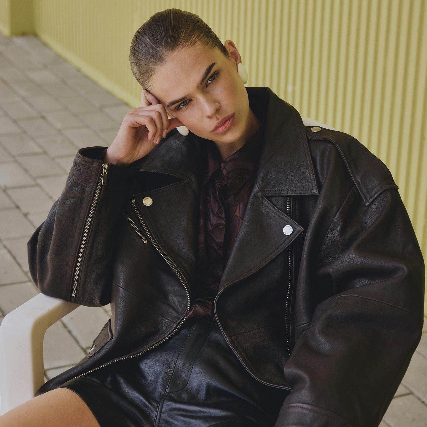 A description of the image