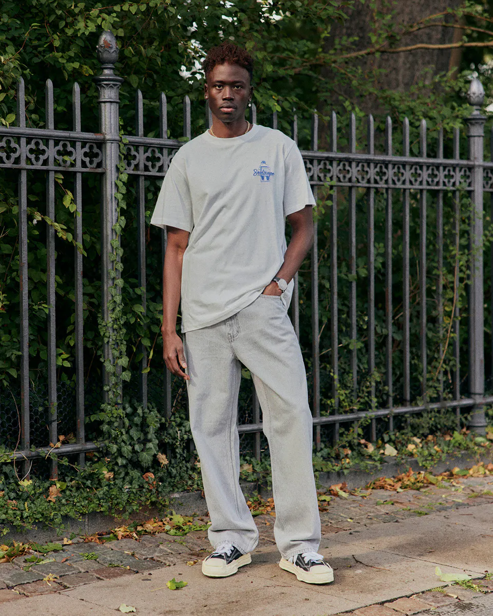 A description of the image