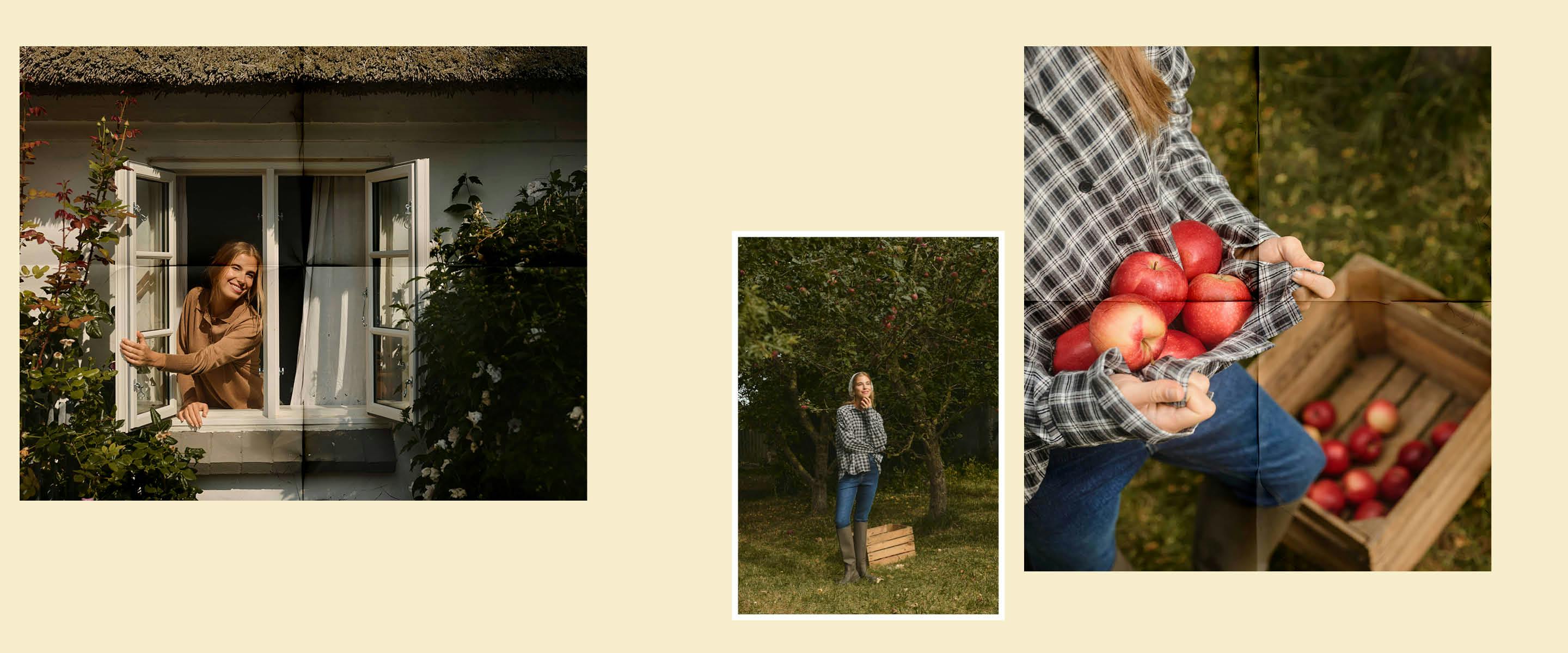 A description of the image