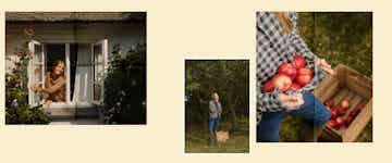 A description of the image