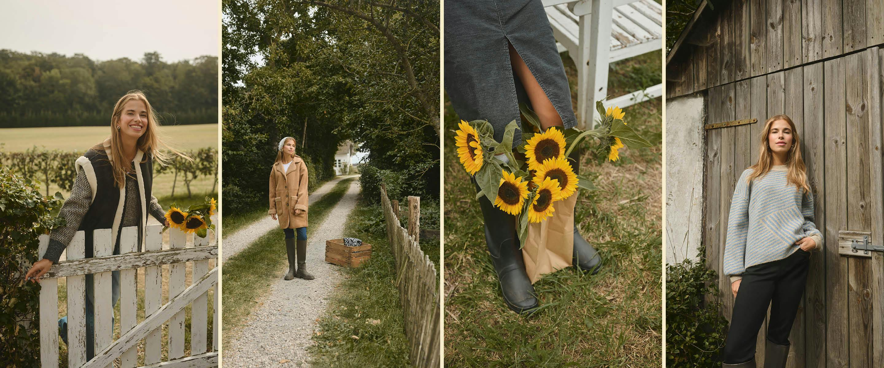 A description of the image