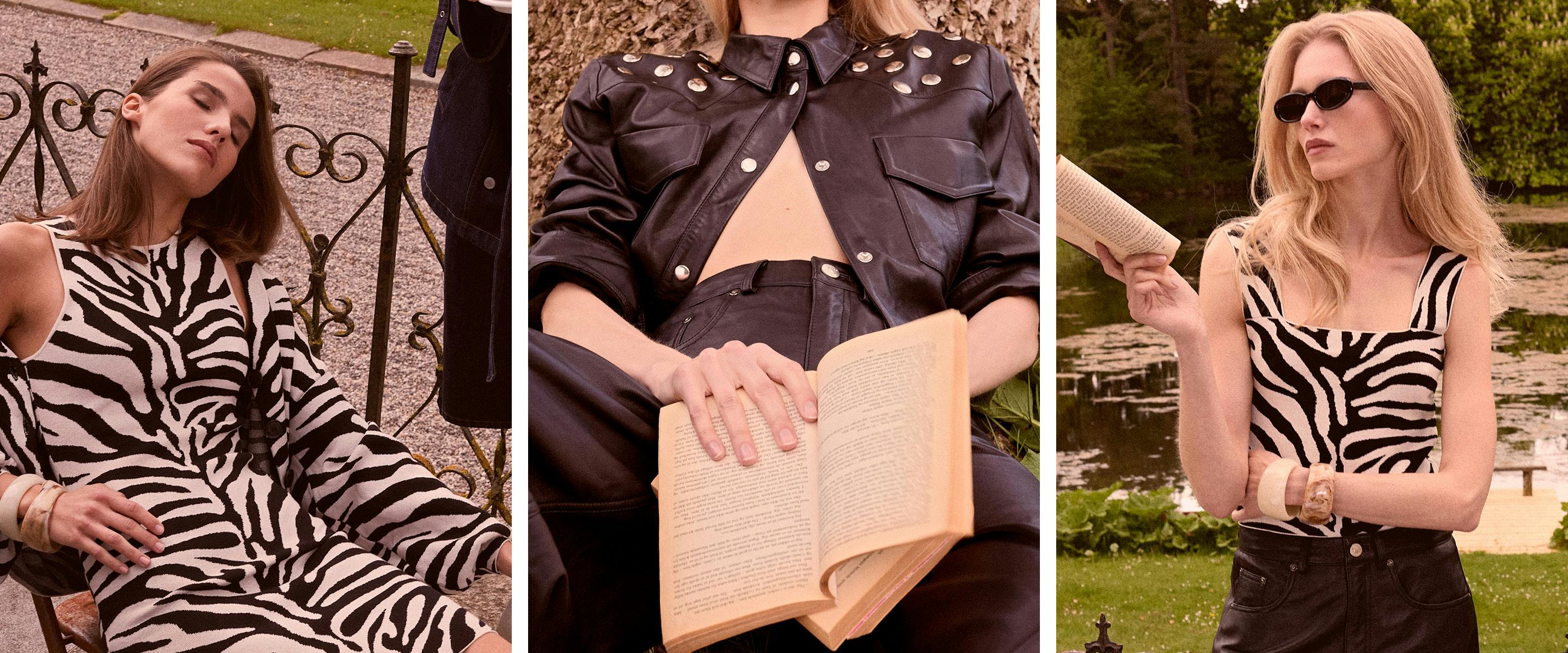 A description of the image