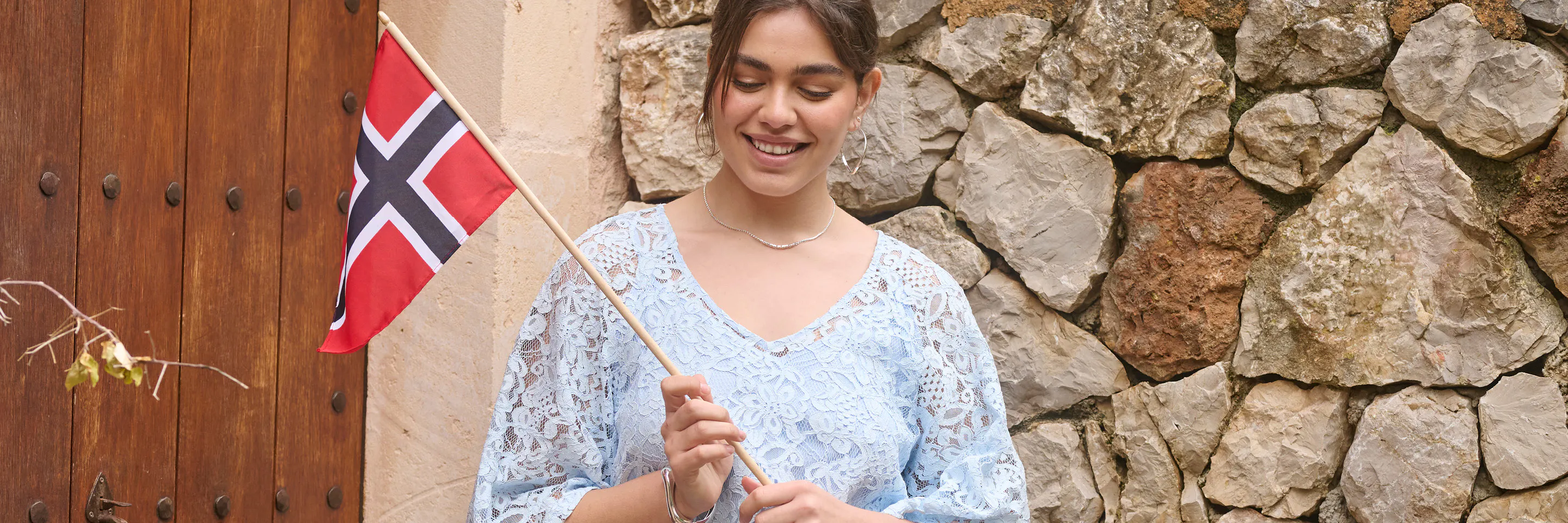 A description of the image