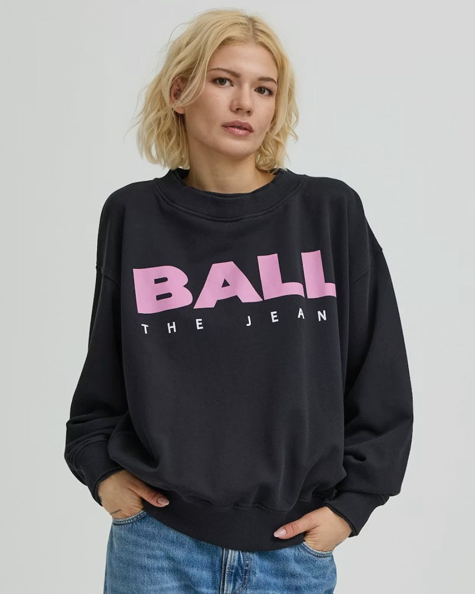 A description of the image