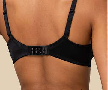 A description of the image