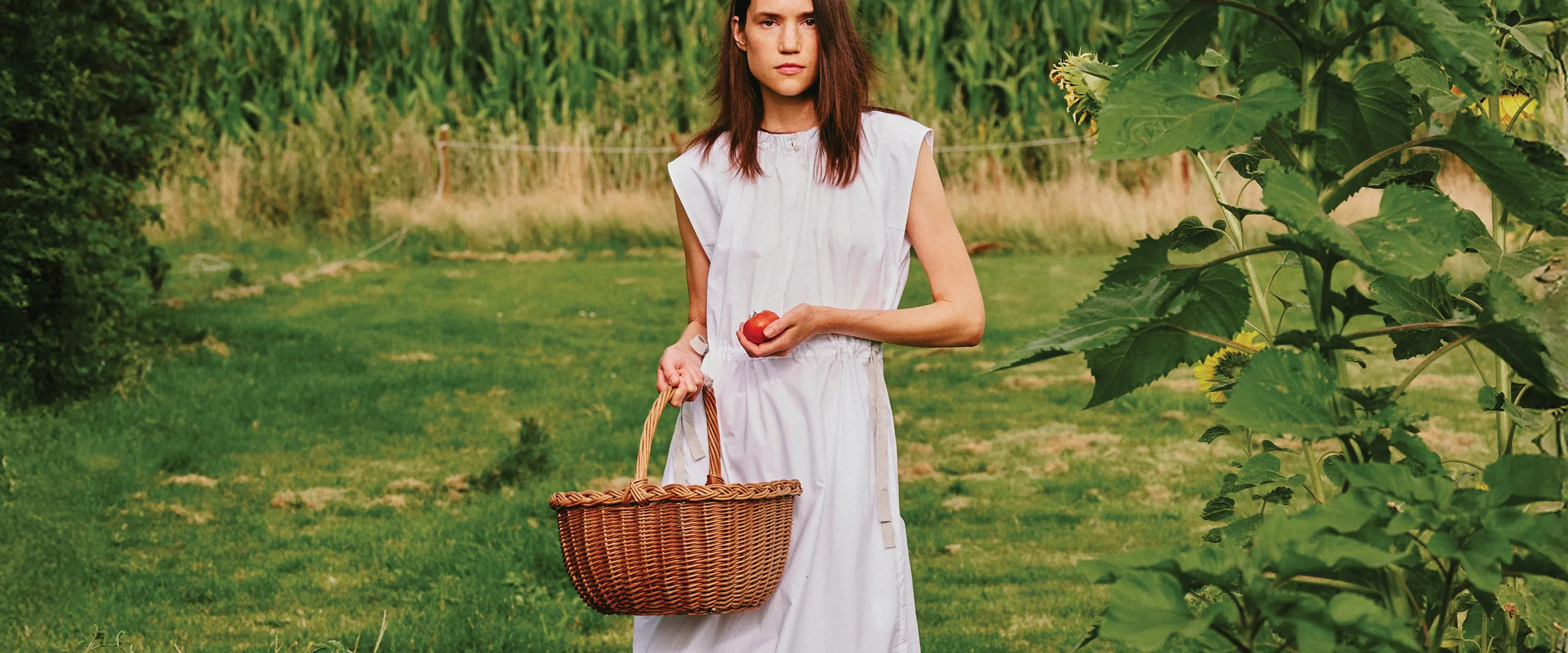 A description of the image