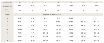 A description of the image