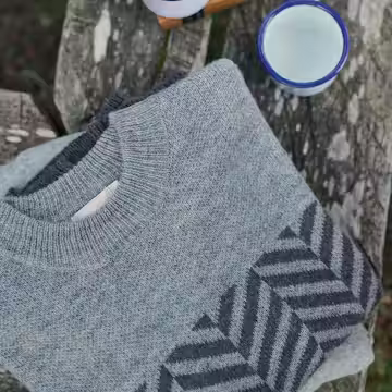 A description of the image